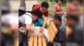 Perro quedó atorado en una banca por estar muy gordo y su rescate divirtió a las redes [VIDEO]