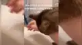 Gata ‘piensa’ que su dueña se ahoga y hace lo posible por socorrerla [VIDEO]