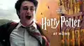 Harry Potter y Animales fantásticos: actores del elenco narran los libros online gratis [VIDEO]