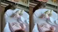 Gato ve por primera vez a la bebé de su dueña y escena conmueve a miles [VIDEO]