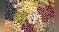 Día mundial de las legumbres: consumo per cápita en Perú está por debajo de lo que recomienda la OMS
