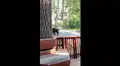 YouTube viral: joven registra el momento exacto en que una despiadada criatura ingresa por la ventana a su casa [VIDEO]