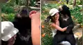 Oso se sienta en las piernas de una joven y la sorprende con peculiar conducta [VIDEO]