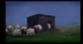 En YouTube, divertido video muestra qué pasaría si los animales fueran 'redondos' [VIDEO]