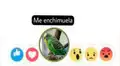 Vía Facebook: divierte con la mejor selección de memes de 'Adiós Chimuelo', el video del momento [FOTOS]