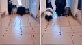 Joven realiza competencia entre sus perros y uno sorprende con su habilidad [VIDEO]