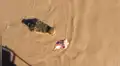 Pescadores navegan en río y se encuentran con una enorme criatura [VIDEO] 