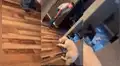 Hombre llama a su perro para regañarlo por ‘travesura’ y este tiene graciosa reacción [VIDEO]