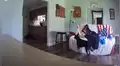 Cámara de seguridad registró momento en que perro conoce a la nueva mascota de su amo [VIDEO]