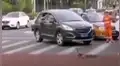 Policía detiene el tránsito para que una familia de patos pueda cruzar la calle [VIDEO]