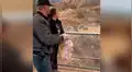 Turistas ingresan a jaula de tigres para alimentarlos y felinos enfurecen [VIDEO]