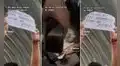 Joven sorprende al pedir silencio para que su hermana exponga en pleno concierto de Morat