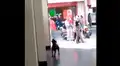 Vía Facebook: Perro encuentra globo en la calle y esta es su asombrosa reacción [VIDEO]