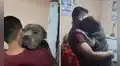 Joven peruano se reencuentra con su perro extraviado tras varios meses y protagonizan tierna escena [FOTOS]