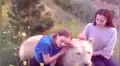 Chicas entran a temible santuario de leona para un ‘selfie’ y esta las sorprende con increíble reacción [VIDEO]