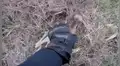 Chico recorre carretera, oye extraño llanto y descubre tierno animal desamparado [VIDEO]