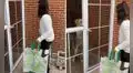 Perro escucha a su dueña llegar con las compras y le abre la puerta [VIDEO]