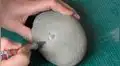 Encuentra extraña roca y descubre que era un fósil de más de 12 millones de años [VIDEO]