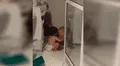 Bebé calma a perro que se espantó con el ruido de unos fuertes truenos y protagonizan una tierna escena [VIDEO]