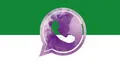 WhatsApp: así puedes cambiar el icono de la app por el Día Internacional de la Mujer 