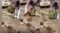 Hombre sorprende al comprar una jaula llena de periquitos para luego liberarlos