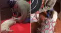 Anciano recoge retazos de tela y cose una chompa para abrigar a su pequeño perro [VIDEO]