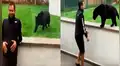 YouTube viral: implacable pantera aparece sigilosamente y sorprende por la espalda a su cuidador [VIDEO]