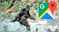 Google Maps viral: ¿Captaron a "Pie Grande" en bosque de Estados Unidos?