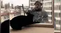 Facebook viral: gatito es sorprendido por limpiavidrios y esta fue su reacción [VIDEO]