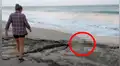 Conmovedor rescate que hizo joven a ‘misteriosa criatura’ atrapada entre las rocas hace llorar a miles [VIDEO]