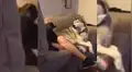 Perro ve a su dueño acariciando a gato y demuestra sus “celos” con graciosa reacción [VIDEO]