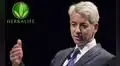 El documental que revela la "estafa" de Herbalife [VIDEO]