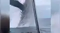 Enorme ballena sale del mar y salta cerca a la embarcación de los turistas [VIDEO]