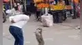 Perro baila huaylas con su dueño en plena cuarentena para ganar dinero y miles se emocionan [VIDEO]