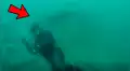 Facebook viral: feroz tiburón se acerca a buzo y desenlace sorprende [VIDEO]