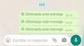 WhatsApp: ¿cómo recuperar un mensaje, foto, video o nota de voz que borraste por error?