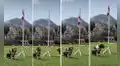 Perros de la PNP cautivan a miles de peruanos en las redes al izar la bandera nacional [VIDEO]