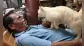 Gato hace ‘masajes’ en la barriga a su dueño cuando llega del trabajo [VIDEO] 