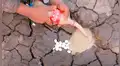 Echan abundante Coca Cola con Mentos dentro de agujero y emergen raras criaturas [VIDEO]