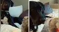 Le juega despiadada broma a su perro con un ‘muñeco diabólico’ y este tiene insólita reacción [VIDEO]
