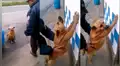 Facebook Viral: Policía inspecciona a perro como si fuera delincuente [VIDEO]