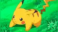 Twitter: Científico encuentra a 'Pikachu de la vida real' en bosque de Honduras [FOTO]
