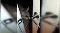 Curioso animal visita la casa de una chica todos los días para pedirle comida [VIDEO]