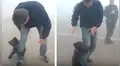 Osezno abraza la pierna de joven que lo salvó de incendio y se niega a soltarlo [VIDEO]