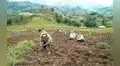 3 mil agricultores se beneficiarán con complejo agroalimentario en La Libertad