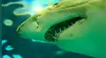 Un pez que devora por completo a tiburón aterra a usuarios en redes sociales [VIDEO]