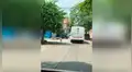 Perro persigue un vehículo por varias cuadras para no sentirse lejos de su dueña [VIDEO] 