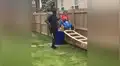 Abuelo le construye una pequeña montaña rusa a su nieto para que se divierta en cuarentena [VIDEO]