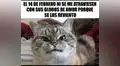 ¿No crees en el amor? Los mejores memes anti San Valentín para corazones rotos