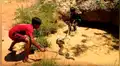 YouTube viral: niños se enfrentan contra temible anaconda para defender a 'monito' [VIDEO] 